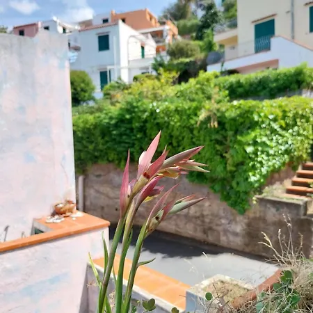 Casa Re Di Picche * San Nicola Arcella