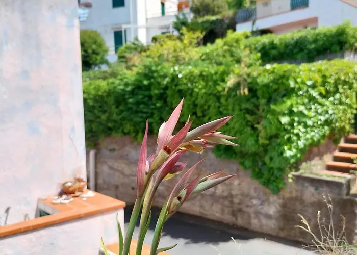 Casa Re Di Picche * 圣尼科拉阿尔切拉